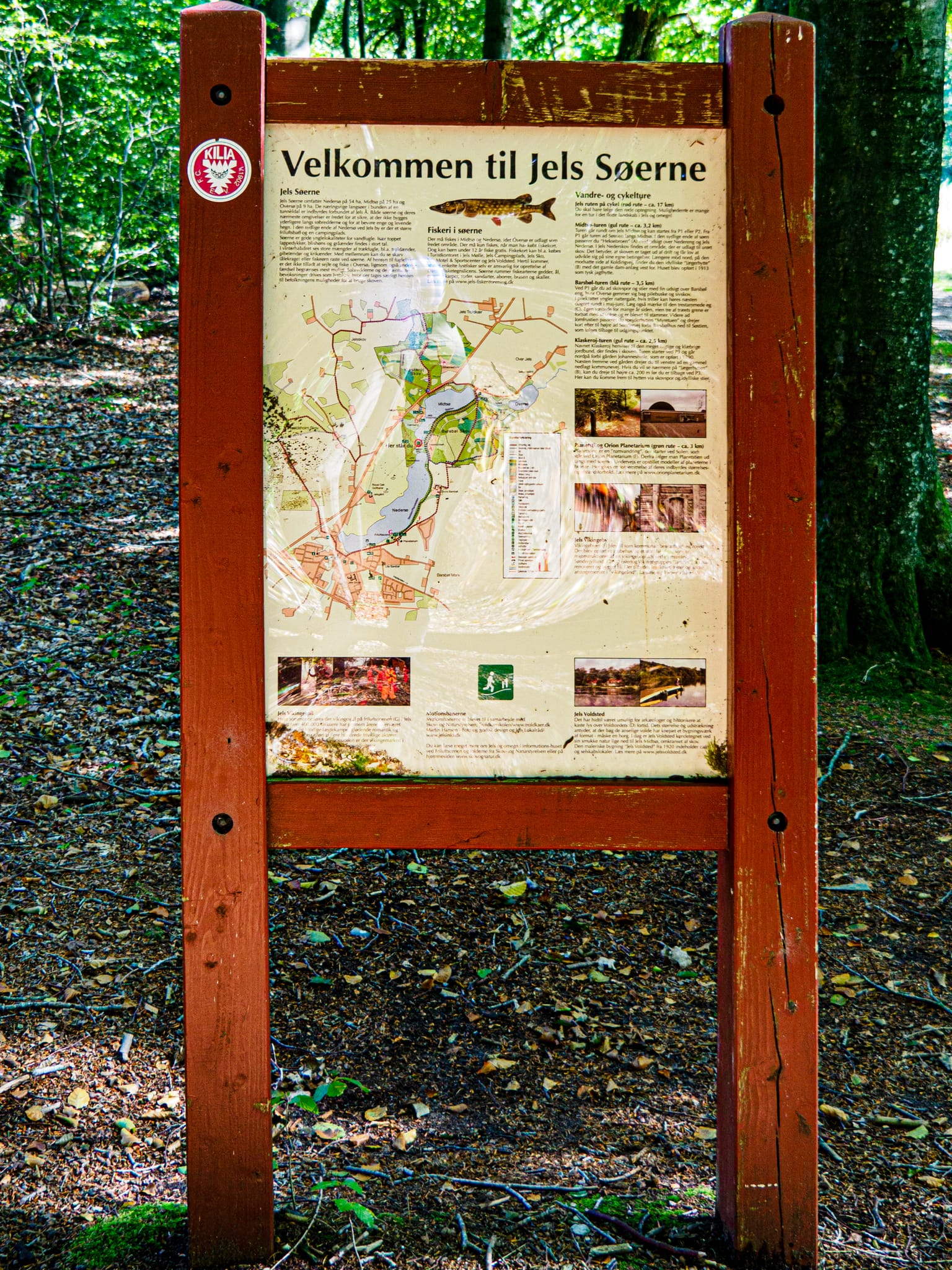 Jelssøerne og Barsbøl Skov