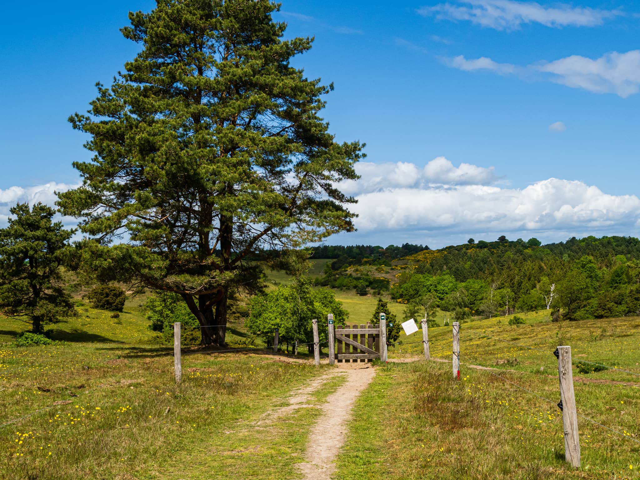 Bjergstien i Mols Bjerge
