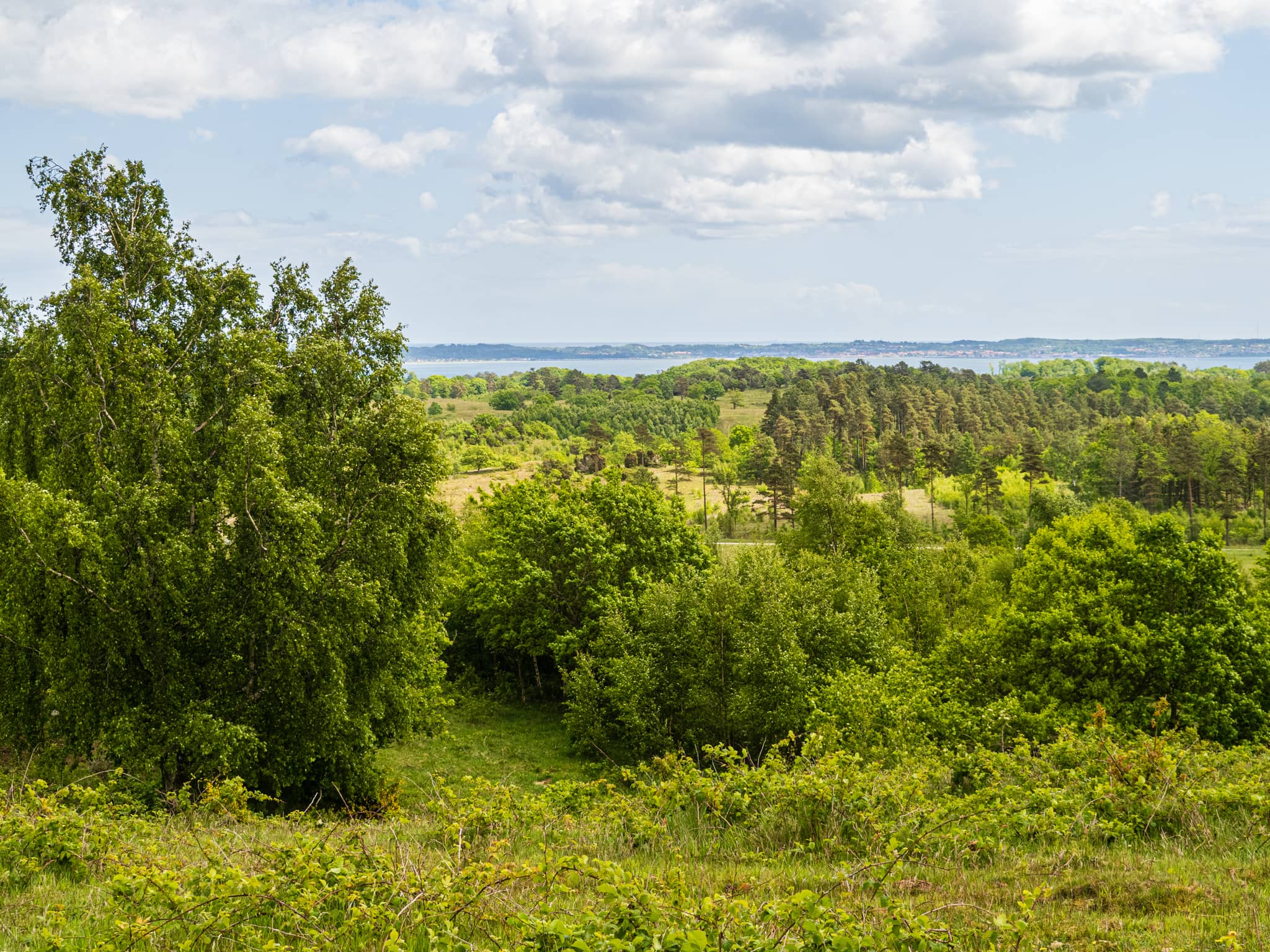 Bjergstien i Mols Bjerge
