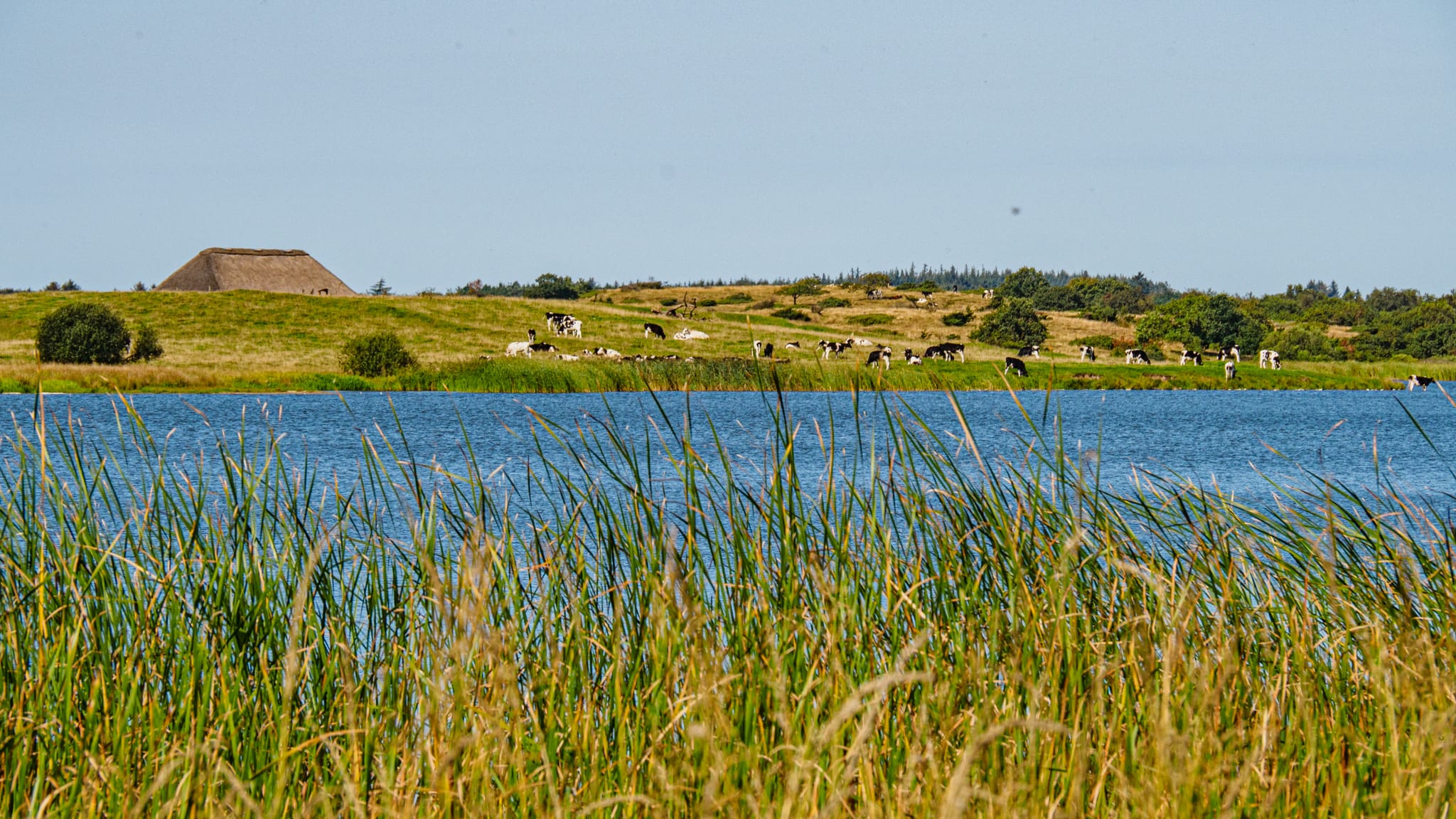 Stubbergård Sø