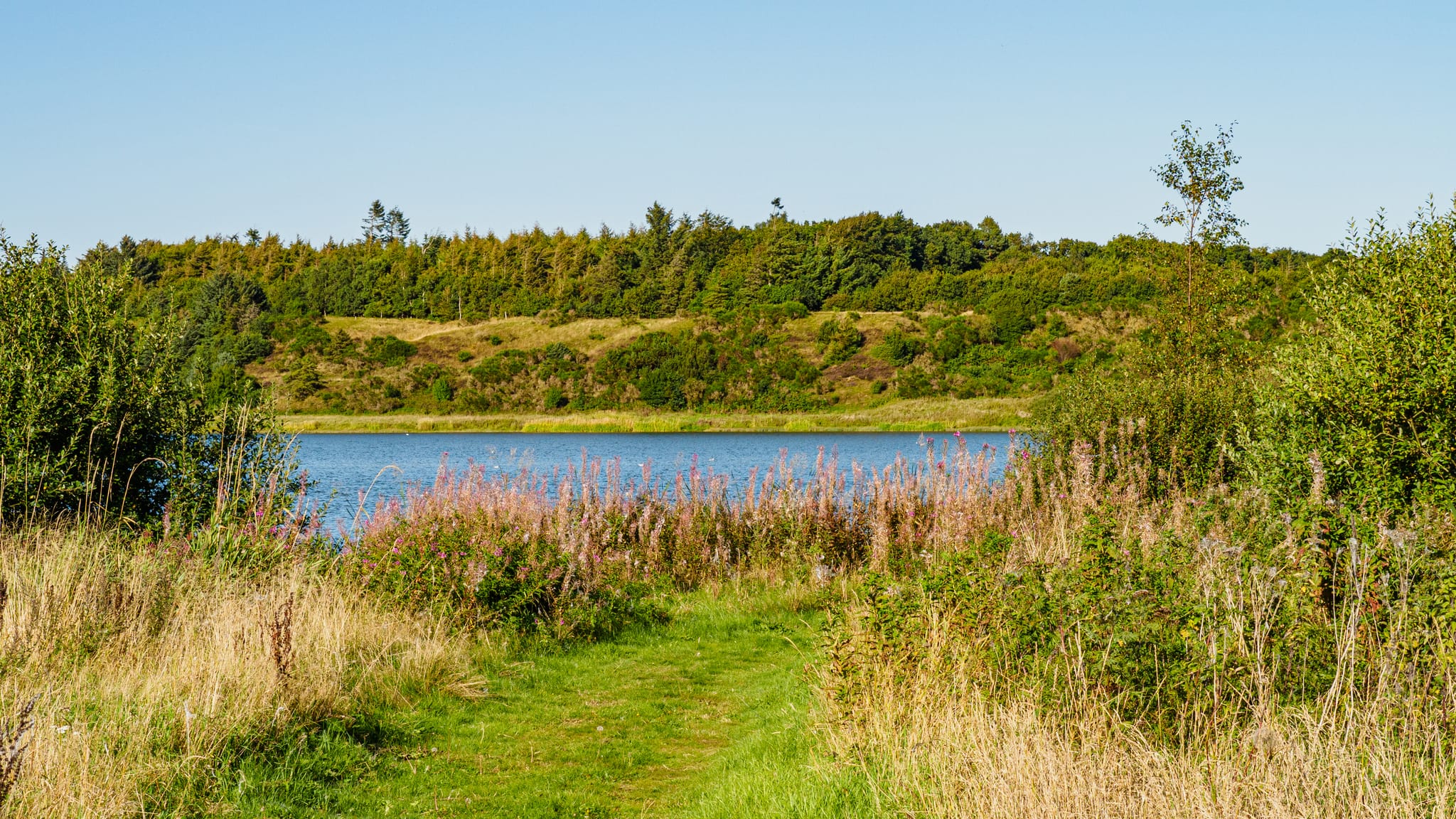 Stubbergård Sø rundt