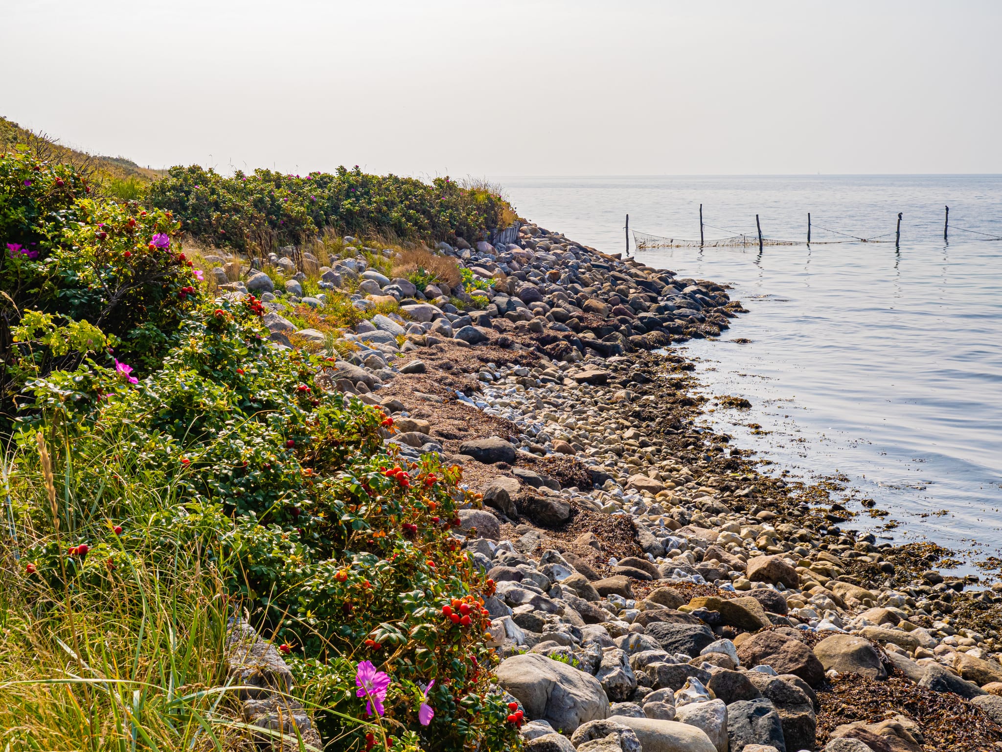 Torø rundt